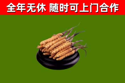 富拉尔基区烟酒回收冬虫夏草.jpg