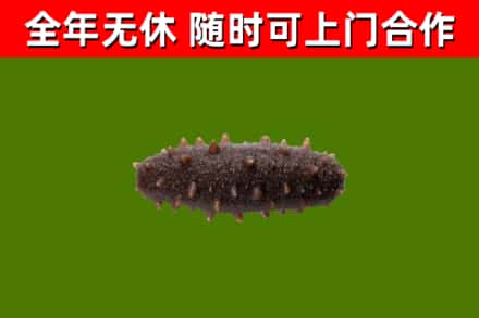 富拉尔基区烟酒回收干海参.jpg
